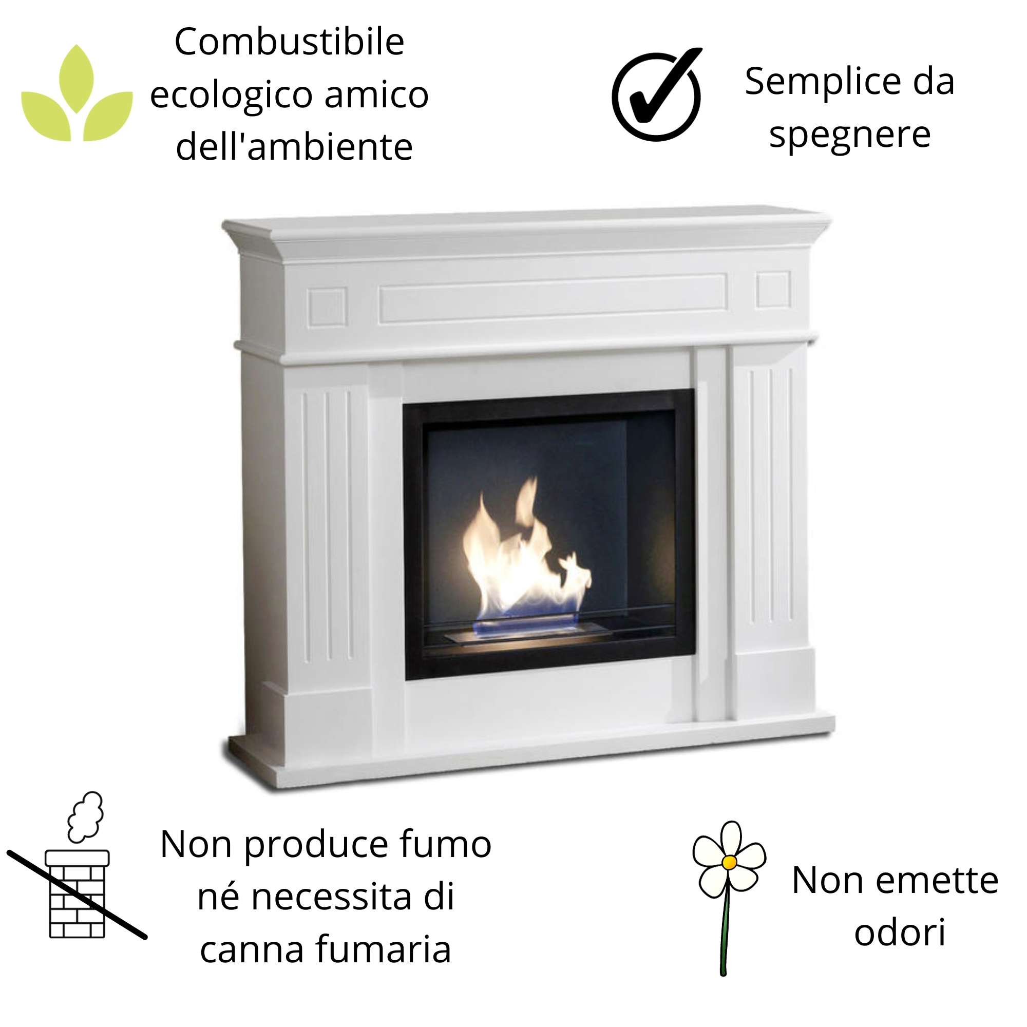 Camino bioetanolo da Terra <span>AREN Bianco</span> - immagine 6